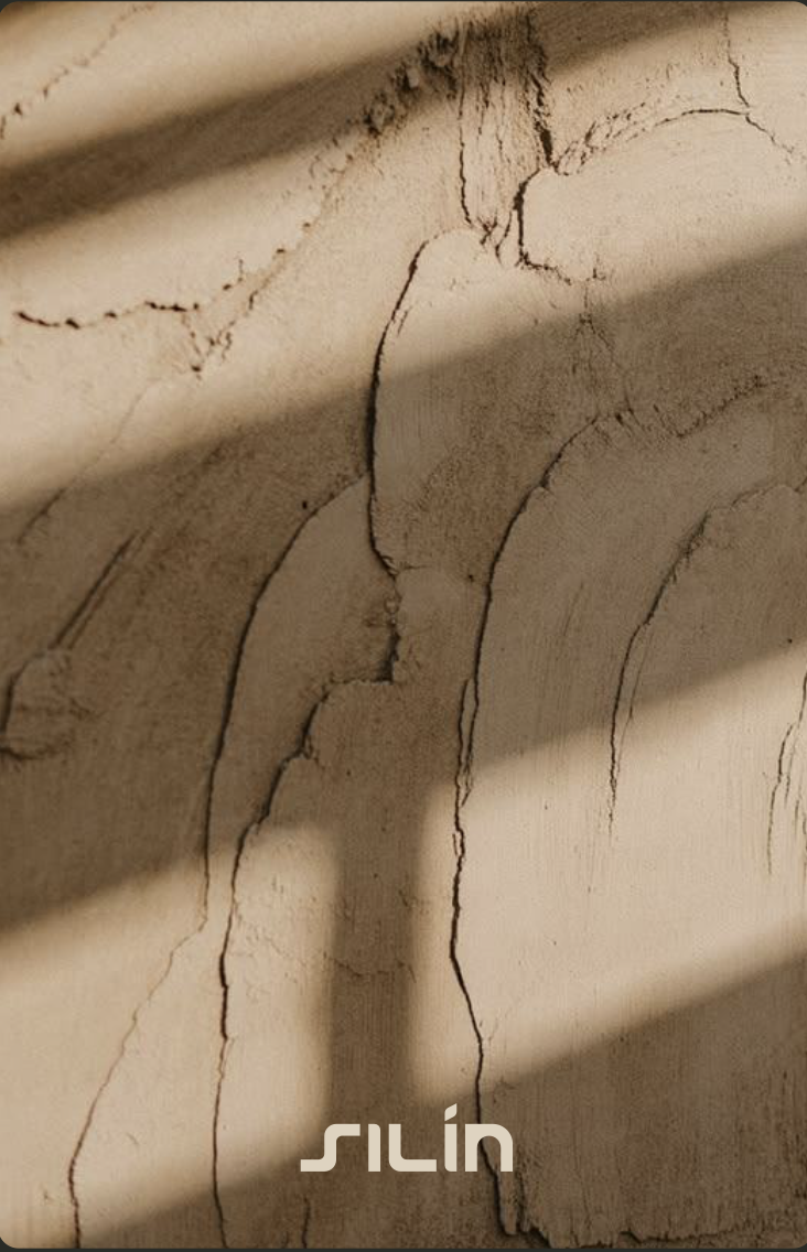 Morning light and leaf shadows falling across a hand plastered clay wall in the Silín roastery, with the Silín wordmark