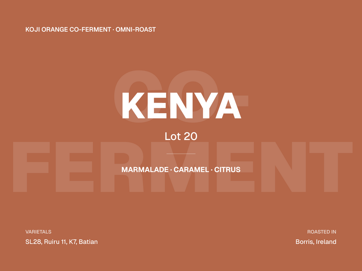 Immersion Coffee Bag [Kenya Koji Orange]