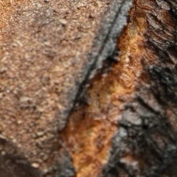 The scored crust of a dark-baked sourdough loaf