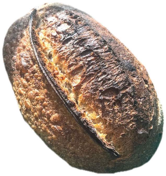 A dark-baked sourdough loaf, split open along a single long score