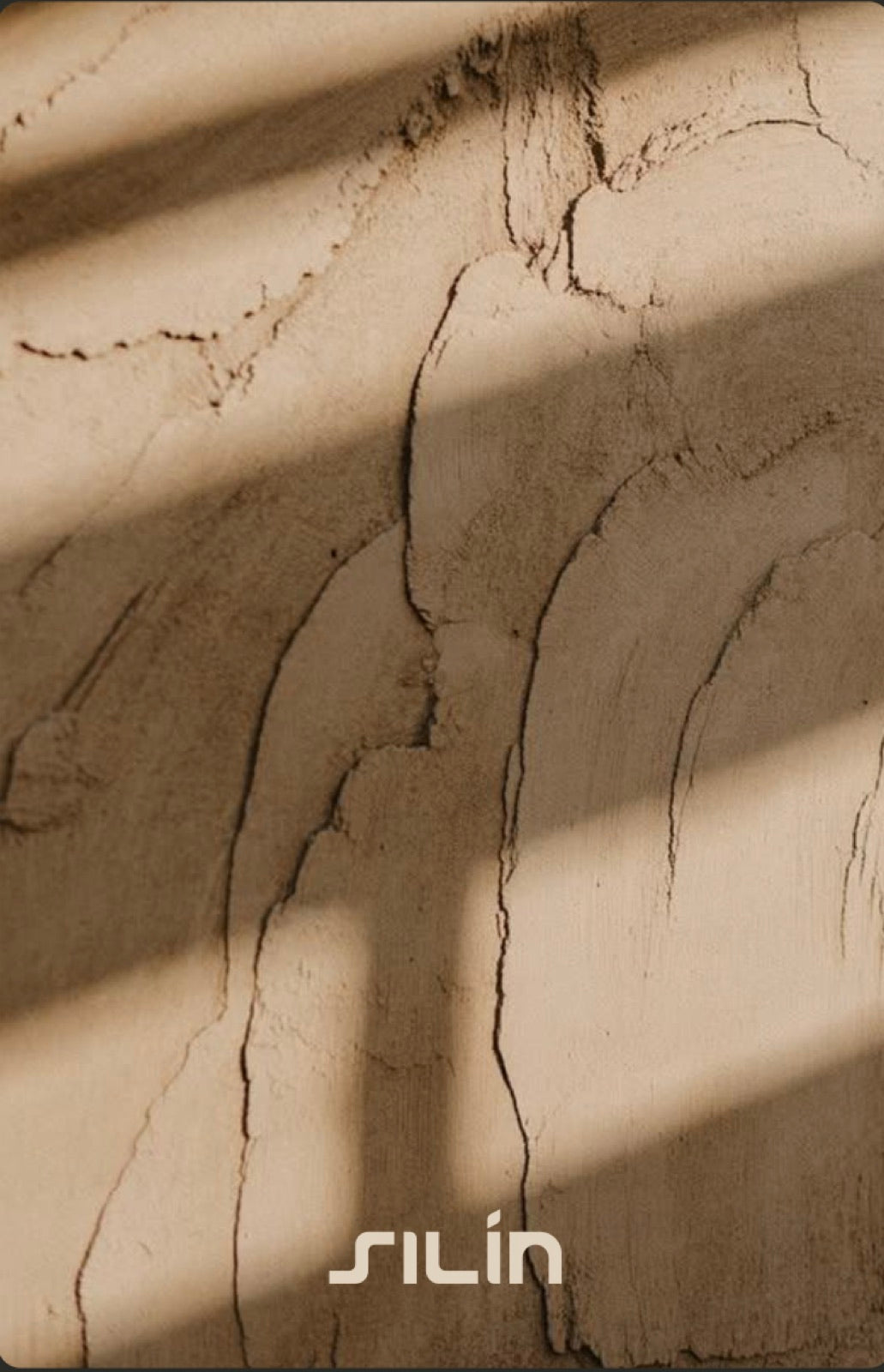 Light and leaf shadow on the clay wall of the Silín roastery